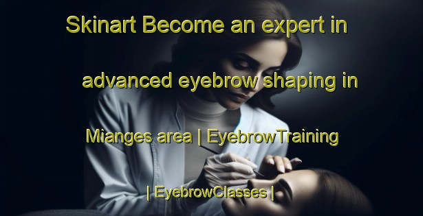 Skinart Become an expert in advanced eyebrow shaping in Mianges area | EyebrowTraining | EyebrowClasses | SkinartTraining-France